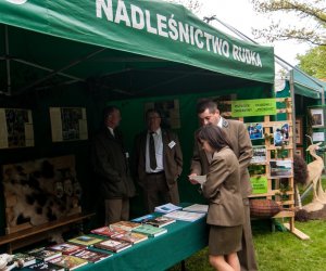 Jarmark św. Wojciecha i Święto Lasu Jarmark św. Wojciecha i Święto Lasu