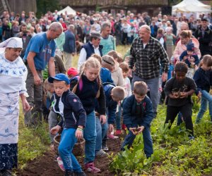 Impreza plenerowa - Jesień w Polu i Zagrodzie