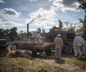 XVIII Podlaskie Święto Chleba - fotorelacja XVIII Podlaskie Święto Chleba - fotorelacja