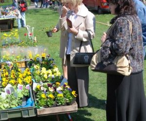 JARMARK ŚWIĘTEGO WOJCIECHA W MUZEUM ROLNICTWA W CIECHANOWCU