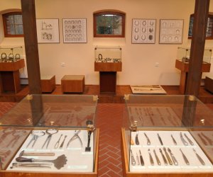 Odnowiona ekspozycja Muzeum Weterynarii Odnowiona ekspozycja Muzeum Weterynarii