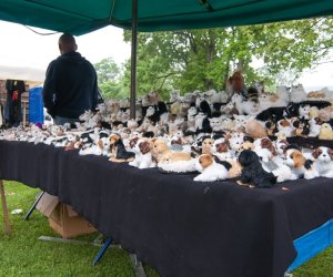 Jarmark św. Wojciecha i Święto Lasu Jarmark św. Wojciecha i Święto Lasu