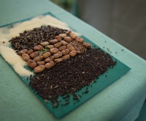 Impreza plenerowa - Jesień w Polu i Zagrodzie