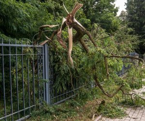 Nawałnica w Ciechanowcu Nawałnica w Ciechanowcu