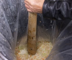 Jesień w polu i zagrodzie. Etnograficzny festiwal kultury ludowej 2022 - fotorelacja Jesień w polu i zagrodzie. Etnograficzny festiwal kultury ludowej 2022 - fotorelacja