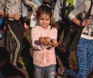 Jesień w polu i zagrodzie - fotorelacja