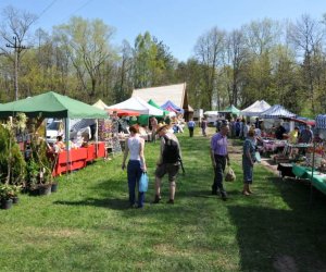 XIV Jarmark Św. Wojciecha i Festyn Leśny XIV Jarmark Św. Wojciecha i Festyn Leśny