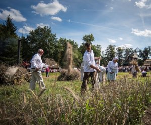 XVIII Podlaskie Święto Chleba - fotorelacja XVIII Podlaskie Święto Chleba - fotorelacja
