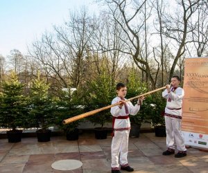 Galeria z 5 grudnia 2015