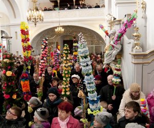 Galeria - Niedziela Palmowa 2013 Galeria - Niedziela Palmowa 2013