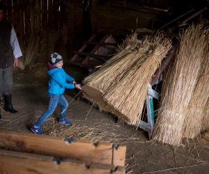 Jarmark św. Wojciecha 2022 - fotorelacja