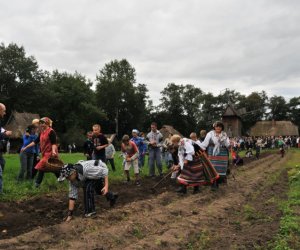 Wykopki w Skansenie
