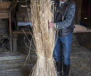 Jesień w polu i zagrodzie 2021 - fotorelacja Jesień w polu i zagrodzie 2021 - fotorelacja