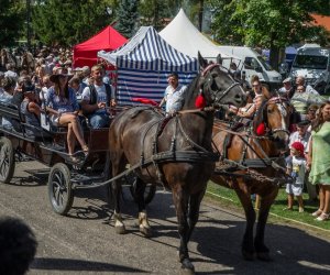 XV Podlaskie Święta Chleba w Muzeum Rolnictwa im. ks. Krzysztofa Kluka w Ciechanowcu XV Podlaskie Święta Chleba w Muzeum Rolnictwa im. ks. Krzysztofa Kluka w Ciechanowcu