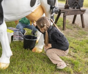 Muzeum Rolnictwa po raz kolejny na Pikniku Poznaj Dobrą Żywność