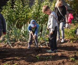 Jesień w polu i zagrodzie - fotorelacja Jesień w polu i zagrodzie - fotorelacja