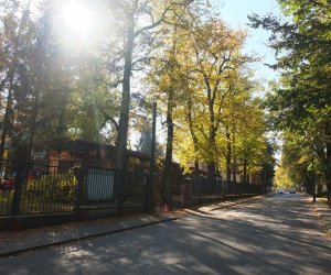 Pielęgnacja i konserwacja drzew zabytkowej alei lipowej na terenie skansenu Muzeum Rolnictwa im. Ks. Krzysztofa Kluka w Ciechanowcu Pielęgnacja i konserwacja drzew zabytkowej alei lipowej na terenie skansenu Muzeum Rolnictwa im. Ks. Krzysztofa Kluka w Ciechanowcu