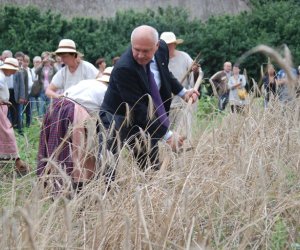 VIII PODLASKIE ŚWIĘTO CHLEBA VIII PODLASKIE ŚWIĘTO CHLEBA