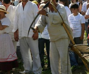 IX Podlaskie Święto Chleba IX Podlaskie Święto Chleba