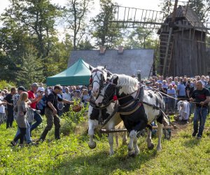 „Jesień w polu i zagrodzie” 2023 r. - fotorelacja i podsumowanie