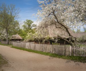 DZIAŁ BUDOWNICTWA WIEJSKIEGO DZIAŁ BUDOWNICTWA WIEJSKIEGO