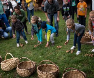 Impreza plenerowa - Jesień w Polu i Zagrodzie