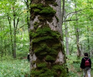 Konferencja Naukowo-Szkoleniowa III PARAZYTOZY ZWIERZĄT - fotorelacja Konferencja Naukowo-Szkoleniowa III PARAZYTOZY ZWIERZĄT - fotorelacja