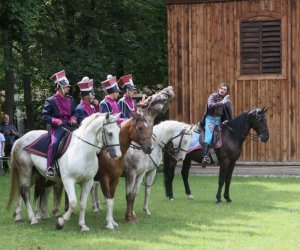 VIII Zajazd Wysokomazowiecki, 15.07.2012. VIII Zajazd Wysokomazowiecki, 15.07.2012.
