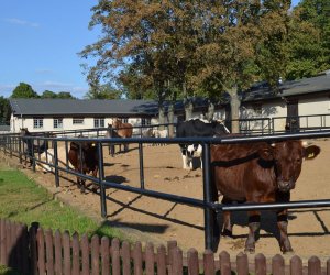 Seminarium historyczne - "Polskie muzealnictwo rolnicze - 140 lat działalności i doświadczeń"