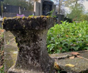 NIECOdziennik Muzealny - Ogrody Wiecznej Pamięci NIECOdziennik Muzealny - Ogrody Wiecznej Pamięci