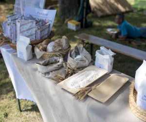 Piknik "Poznaj Zdrową Żywność" - fotorelacja Piknik "Poznaj Zdrową Żywność" - fotorelacja