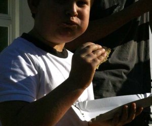 Wykopki w skansenie 2009