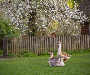 Majówka w Muzeum Majówka w Muzeum