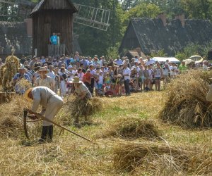 XV Podlaskie Święta Chleba w Muzeum Rolnictwa im. ks. Krzysztofa Kluka w Ciechanowcu XV Podlaskie Święta Chleba w Muzeum Rolnictwa im. ks. Krzysztofa Kluka w Ciechanowcu
