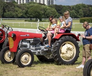Piknik "Poznaj Zdrową Żywność" - fotorelacja Piknik "Poznaj Zdrową Żywność" - fotorelacja