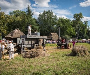 XVIII Podlaskie Święto Chleba - fotorelacja XVIII Podlaskie Święto Chleba - fotorelacja