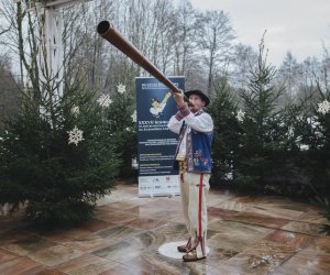 Ligawki 2018 Ligawki 2018