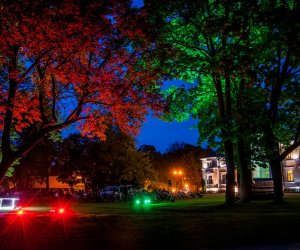 Noc Muzeów Noc Muzeów