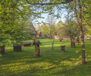 DZIAŁ ETNOGRAFICZNY DZIAŁ ETNOGRAFICZNY