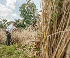 Święto Chleba po raz trzynasty