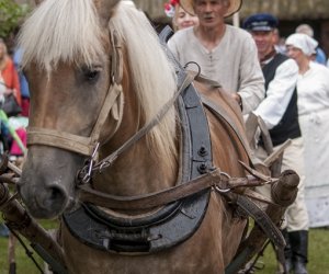 XVI Podlaskie Święto Chleba