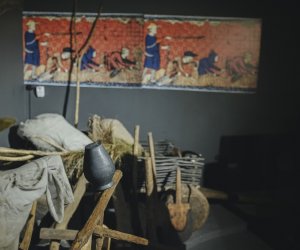 Jubileusz 55-lecia Muzeum Rolnictwa w Ciechanowcu - fotorelacja