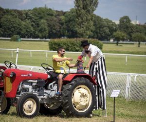 Piknik "Poznaj Zdrową Żywność" - fotorelacja Piknik "Poznaj Zdrową Żywność" - fotorelacja