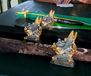 X PODLASKIE ŚWIĘTO CHLEBA