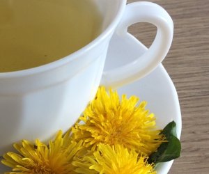 Codziennik Muzealny - Mniszek lekarski – kwiatek, który kocha słońce Codziennik Muzealny - Mniszek lekarski – kwiatek, który kocha słońce