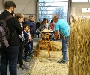 Narodowa Wystawa Rolnicza w Poznaniu Narodowa Wystawa Rolnicza w Poznaniu