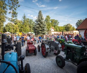 XVIII Podlaskie Święto Chleba - fotorelacja XVIII Podlaskie Święto Chleba - fotorelacja