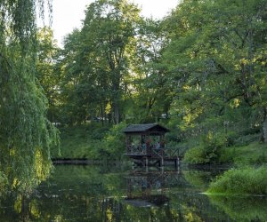 XVI Podlaskie Święto Chleba