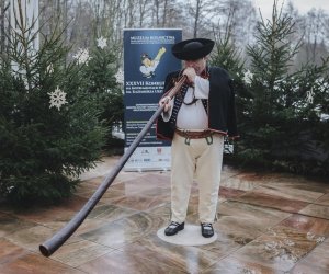 Ligawki 2017 - fotorelacja Ligawki 2017 - fotorelacja