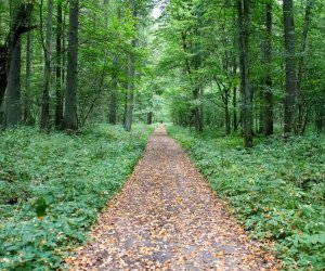 Konferencja Naukowo-Szkoleniowa III PARAZYTOZY ZWIERZĄT - fotorelacja Konferencja Naukowo-Szkoleniowa III PARAZYTOZY ZWIERZĄT - fotorelacja